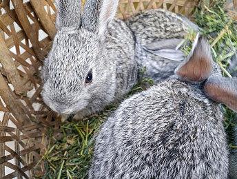 2024 PS合作伙伴奖获奖名单出炉 《黑神话：悟空》获两项大奖